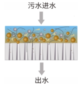 优德88(中国区)官方网站