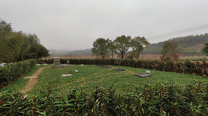 优德88(中国区)官方网站