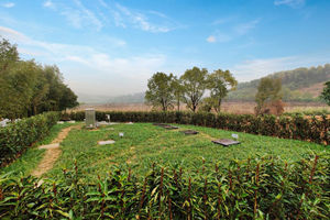 优德88(中国区)官方网站