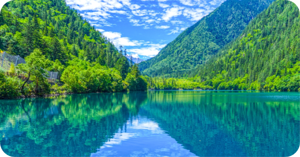 优德88(中国区)官方网站